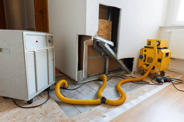 Mold Removal for HVAC Installations in Marlette, MI